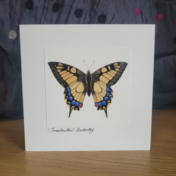 Swallowtail Butterfly Card
