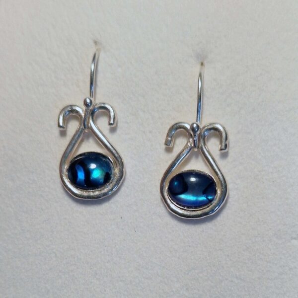 Paua Beauty Earrings