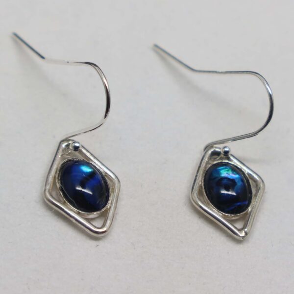 Pretty Paua Earrings
