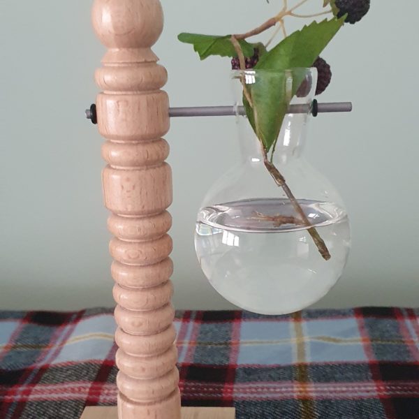 Hydroponic Vase and Beech Wood Holder