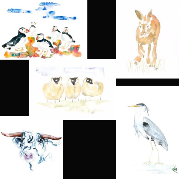 Animal and Bird Card Set