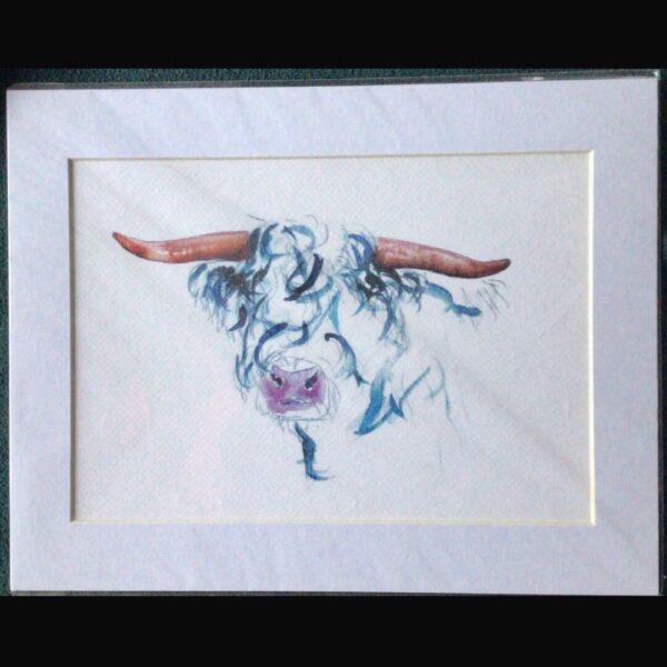 Blue Highland Bull Print