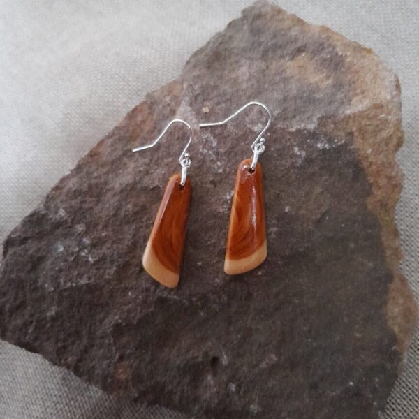 Yew Asymmetric Drop Earrings