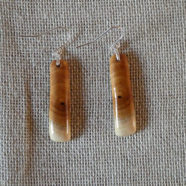 Yew Slim Long Drop Earrings