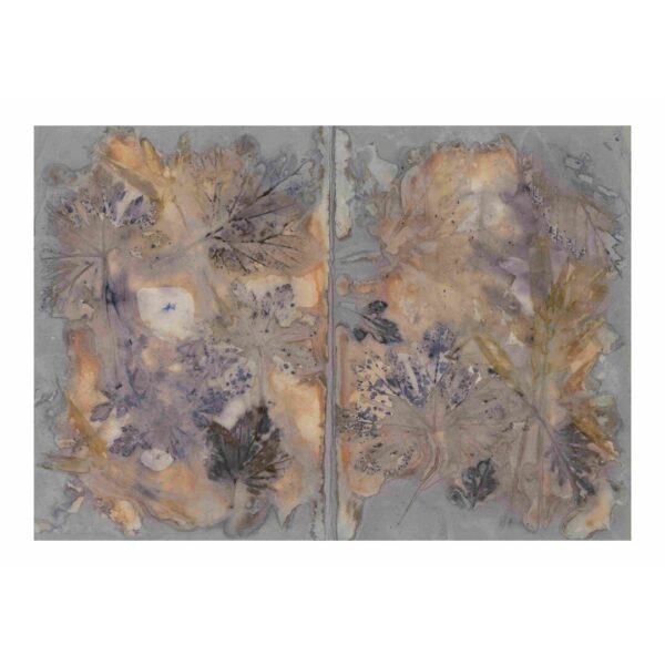 Blackthorn Eco Print