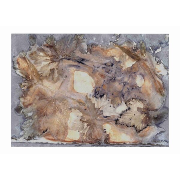 Geranium and Maple Eco Print