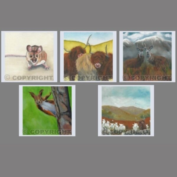 Pack of 5 Square Animal Cards