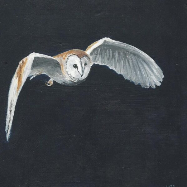 Barn Owl Acrylic Painting