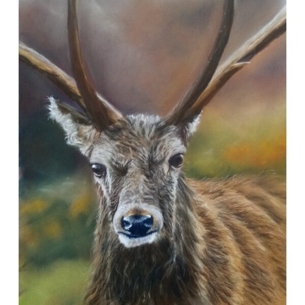 Highland Stag Pastel Painting