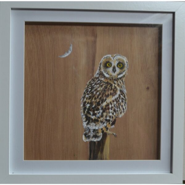 Little Owl Acrylic Painting