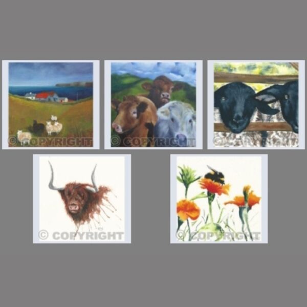 Pack of 5 Square Animals II Cards