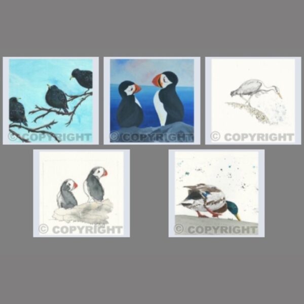 Pack of 5 Square Bird II Cards