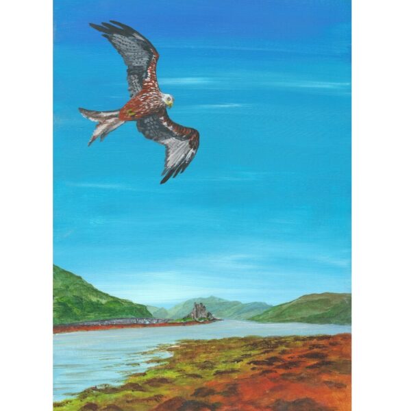 Red Kite over Eilean Donan Castle Acrylic Painting