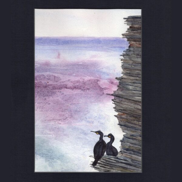 Cormorants Watercolour and Pen Painting