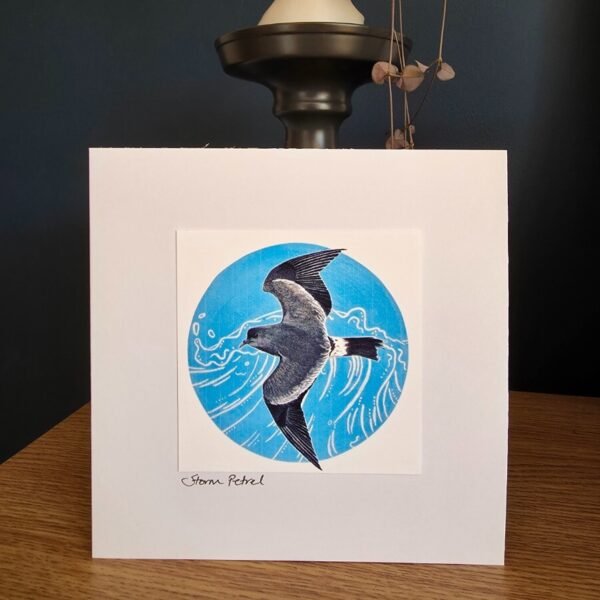 Storm Petrel Card