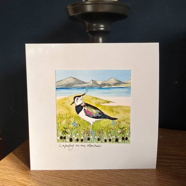Lapwing in the Machair Card