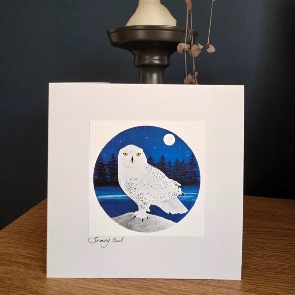 Snowy Owl Card