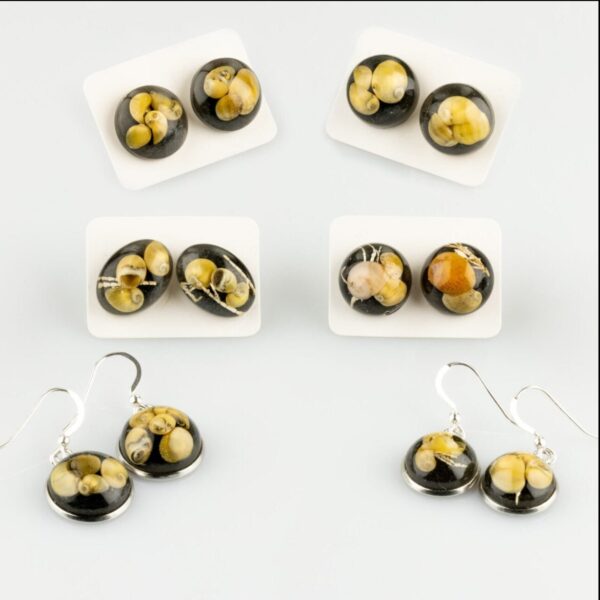 Sunset Beach Earrings - Chunky Round Stud