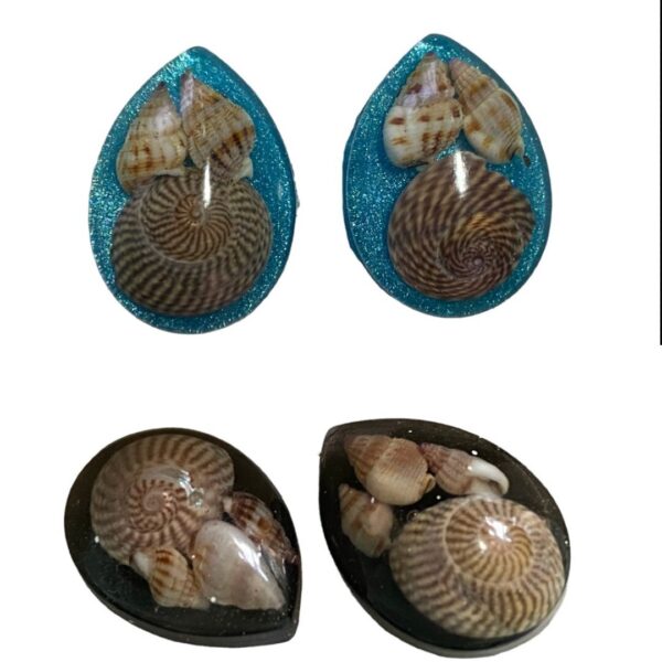 Chunky Shell Stud Earrings - Blue