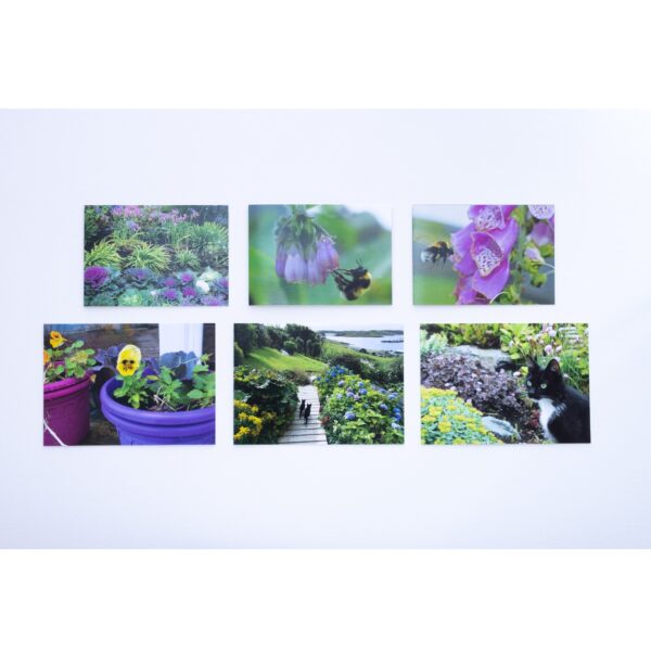 Shetland  Garden Card Pack