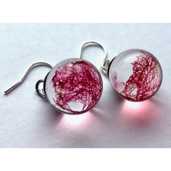 Red Fern Seaweed Resin Earrings