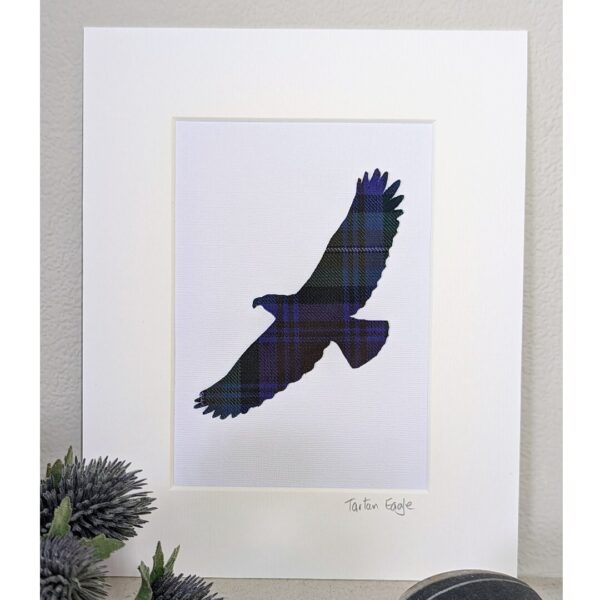 Tartan Eagle Mounted Picture (small)