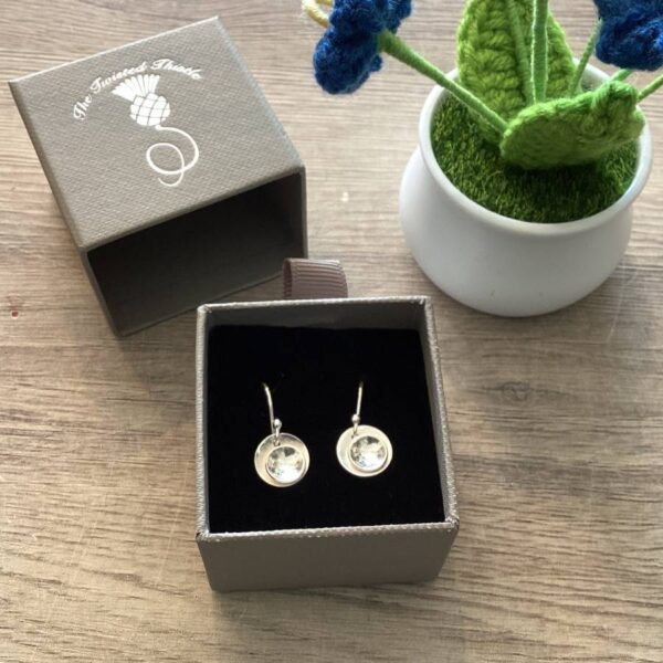 Overlapping Disc Earrings