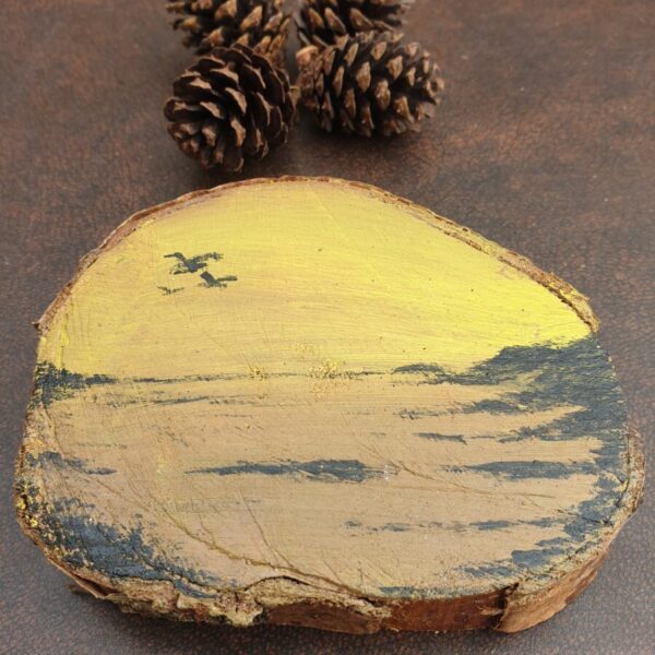 North Coast Sunshine