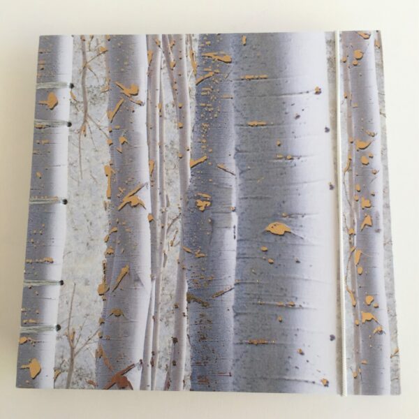 Watercolour Sketchbook Birch Trees