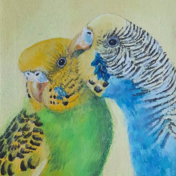 Budgie Love Greetings Card
