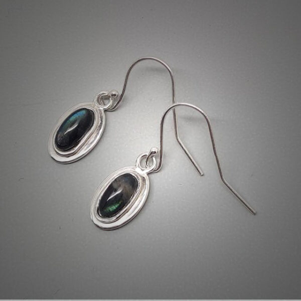 Ammonite Oval Earrings