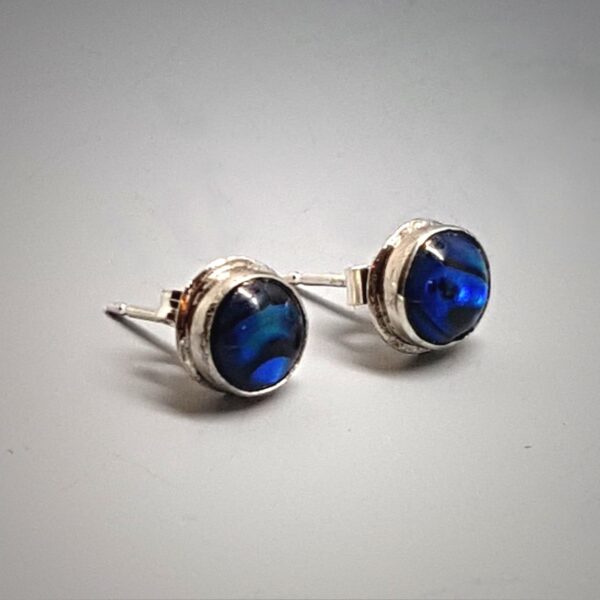 Paua Shell in Silver Earrings