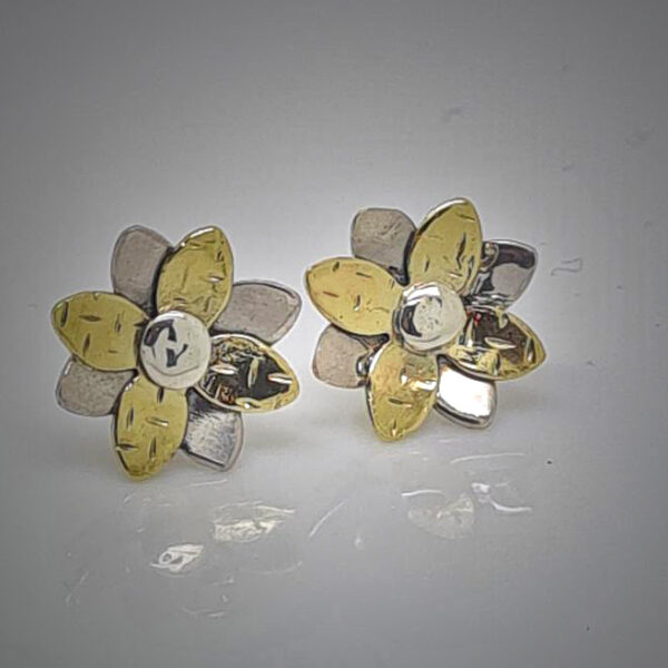 Sterling Silver Star Flower with Brass Earrings