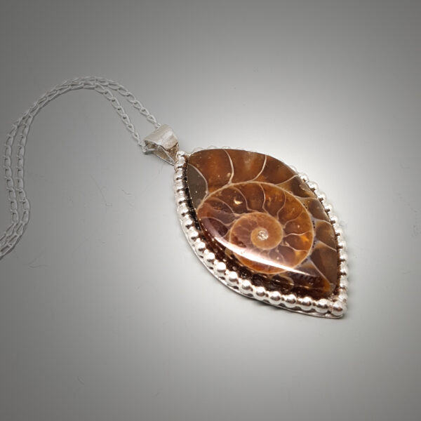Ammonite Fossil Necklace