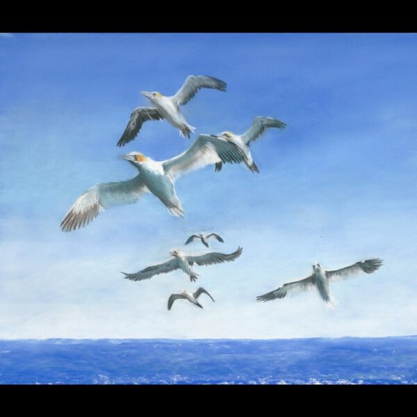 Flying Gannets Painting