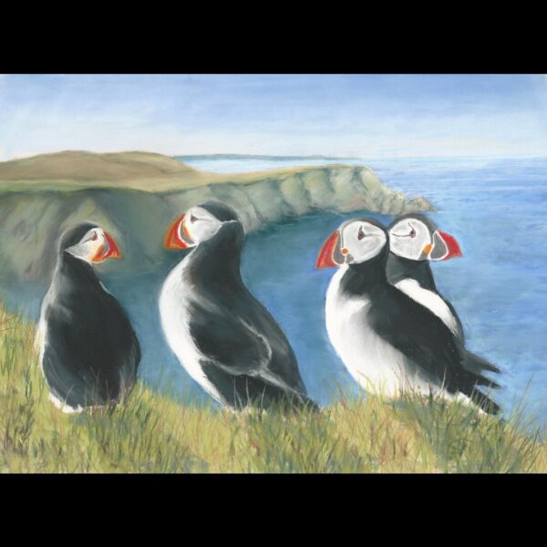 Puffins Pastel Painting