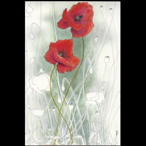 Poppy Ink and Watercolour Painting