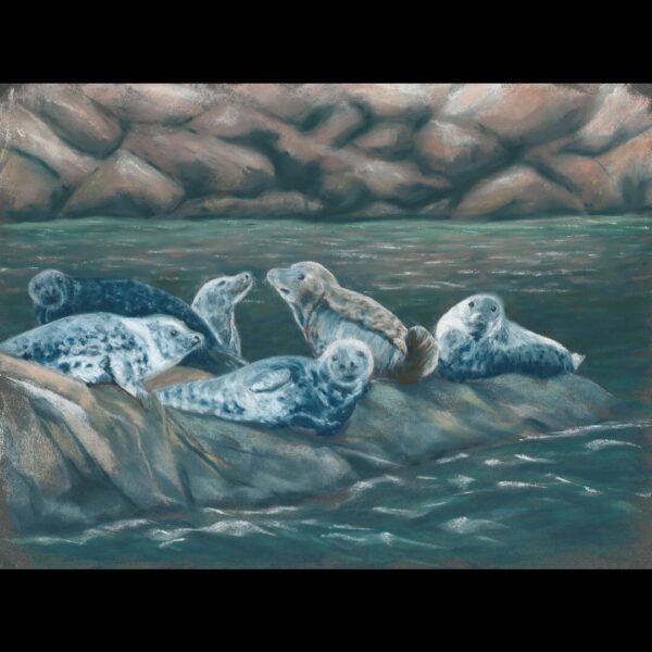 Seals Pastel Painting