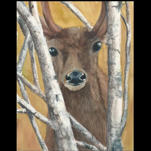 Stag in Birches Painting