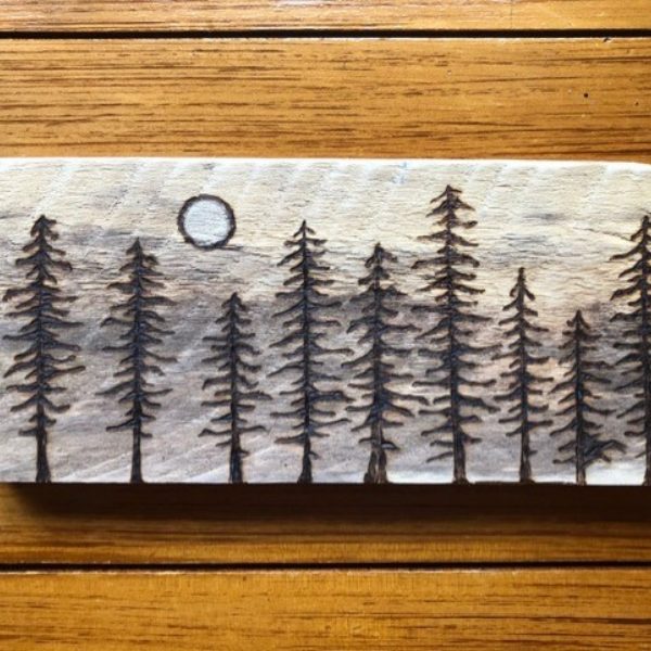 Moonlit Pine Trees - Large