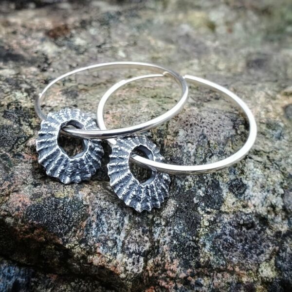 Silver Limpet Loop Hoop Earrings  - Bright Silver