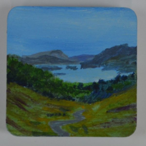 Loch Maree Brooch