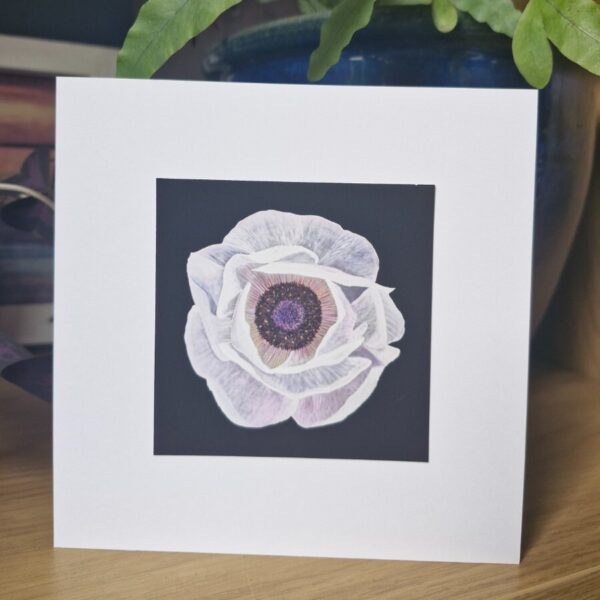Anemone Card