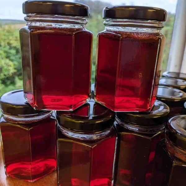 Redcurrant Jelly