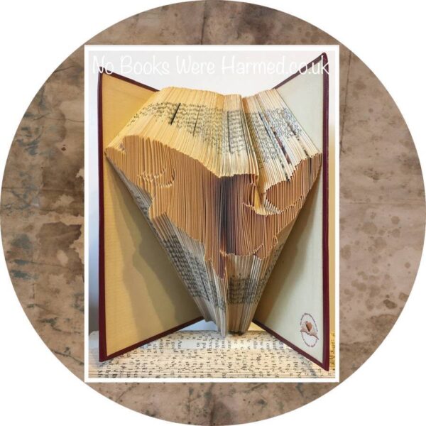 Salmon Book Sculpture