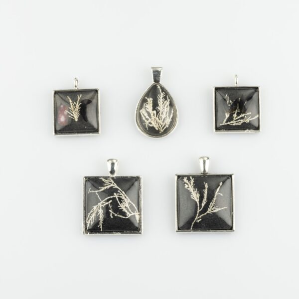 Seaweed Pendant - Square 2.7 cm - Silver Chain