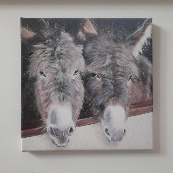 Stable Companions Canvas Print