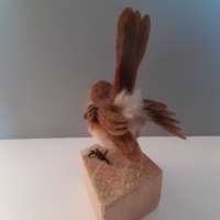 Unique Hand Felted Robin thumbnail
