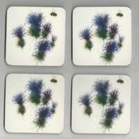 Thistle and Bee Coasters thumbnail