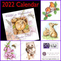 2022 Wildlife in Watercolour Wall Calendar thumbnail